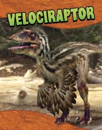 Book Cover for Velociraptor by Laura K Murray