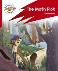 Book Cover for The Moth Plot by Sasha Morton