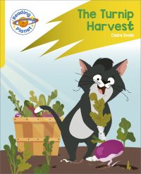 Book Cover for The Turnip Harvest by Claire Smith