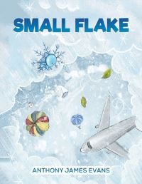 Book Cover for Small Flake by Anthony James Evans