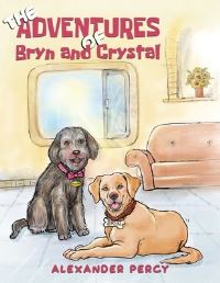 Book Cover for The Adventures of Bryn and Crystal by Alexander Percy