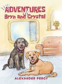 Book Cover for The Adventures of Bryn and Crystal by Alexander Percy