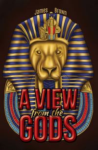 Book Cover for A View from the Gods by James Brown
