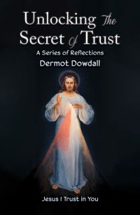 Book Cover for Unlocking the Secret of Trust by Dermot Dowdall