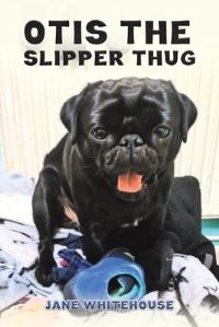 Book Cover for Otis the Slipper Thug by Jane Whitehouse
