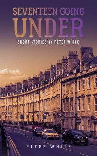 Book Cover for Seventeen Going Under by Peter White