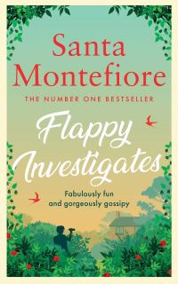 Book Cover for Flappy Investigates by Santa Montefiore