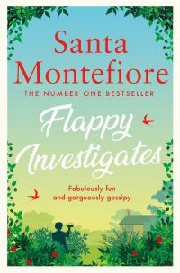 Book Cover for Flappy Investigates by Santa Montefiore