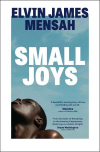Book Cover for Small Joys by Elvin James Mensah