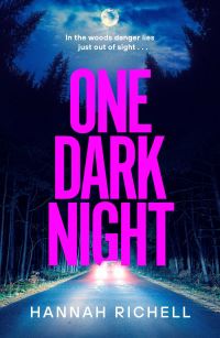 Book Cover for One Dark Night by Hannah Richell