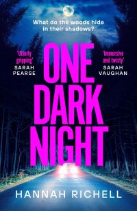 Book Cover for One Dark Night by Hannah Richell