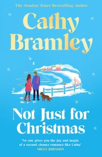 Book Cover for Not Just for Christmas by Cathy Bramley