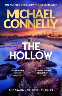 Book Cover for The Hollow by Michael Connelly