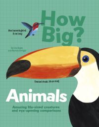 Book Cover for How Big?. Animals by Lisa Regan