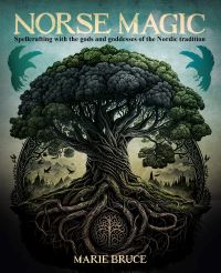 Book Cover for Norse Magic by Marie Bruce