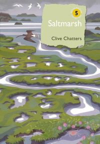 Book Cover for Saltmarsh by Clive Chatters