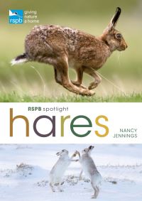 Book Cover for Hares by Nancy Vaughan Jennings