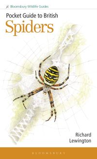 Book Cover for Pocket Guide to British Spiders by Richard Lewington