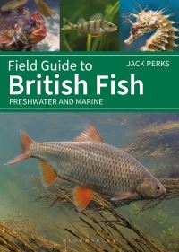 Book Cover for Field Guide to British Fish by Jack Perks