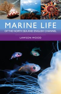 Book Cover for Marine Life of the North Sea and English Channel by Lawson Wood
