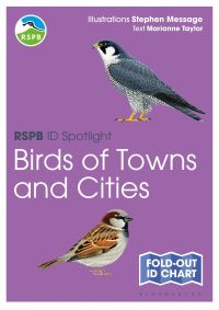 Book Cover for RSPB ID Spotlight - Birds of Towns and Cities by Marianne Taylor