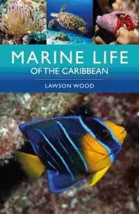 Book Cover for Marine Life of the Caribbean by Lawson Wood