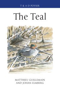 Book Cover for The Teal by Matthieu Guillemain, Johan Elmburg