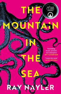 Book Cover for The Mountain in the Sea by Ray Nayler