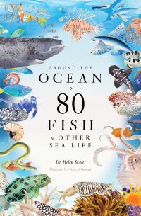 Book Cover for Around the Ocean in 80 Fish and Other Sea Life by Helen Scales