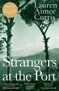 Book Cover for Strangers at the Port by Lauren Aimee Curtis