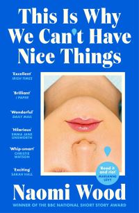 Book Cover for This Is Why We Can't Have Nice Things by Naomi Wood