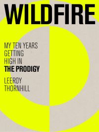 Book Cover for Wildfire by Leeroy Thornhill