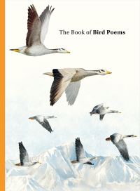 Book Cover for The Book of Bird Poems by Ana Sampson