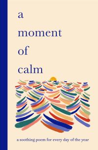 Book Cover for A Moment of Calm by Ana Sampson