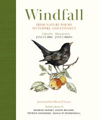 Book Cover for Windfall by Jane Clarke, Jane Carkill