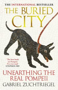 Book Cover for The Buried City by Gabriel Zuchtriegel