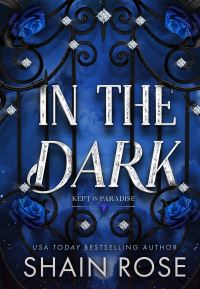 Book Cover for In the Dark by Shain Rose