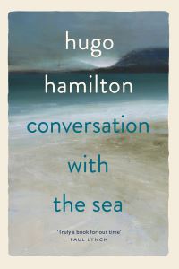 Book Cover for Conversation With the Sea by Hugo Hamilton