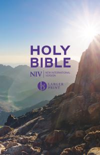 Book Cover for NIV Larger Print Personal Value Hardback Bible by New International Version