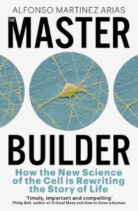 Book Cover for The Master Builder by Alfonso Martinez Arias