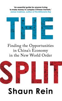Book Cover for The Split by Shaun Rein