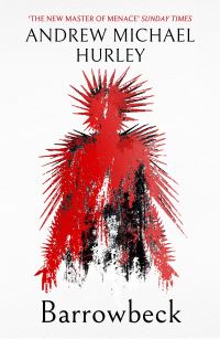 Book Cover for Barrowbeck by Andrew Michael Hurley