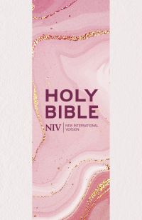 Book Cover for NIV Larger Print Personal Pastel Pink Bible by New International Version