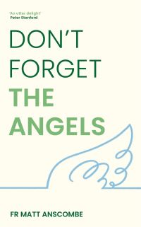 Book Cover for Don't Forget the Angels by Matt Anscombe