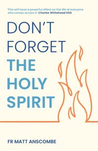 Book Cover for Don't Forget the Holy Spirit by Matt Anscombe