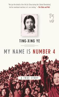 Book Cover for My Name Is Number 4 by TingXing Ye