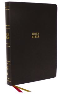 Book Cover for The Holy Bible by 