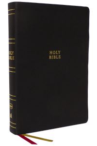 Book Cover for The Holy Bible by 