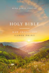 Book Cover for KJV Large Print Outreach New Testament Bible, Scenic Softcover, Comfort Print by Thomas Nelson