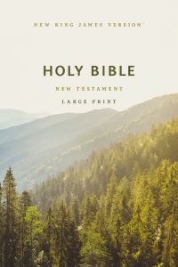 Book Cover for NKJV Large Print Outreach New Testament Bible, Scenic Softcover, Comfort Print by Thomas Nelson